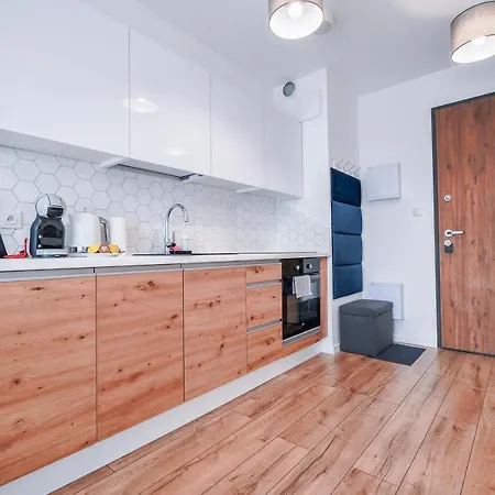 公寓 Citystay Nadmotlawie Estate 格但斯克